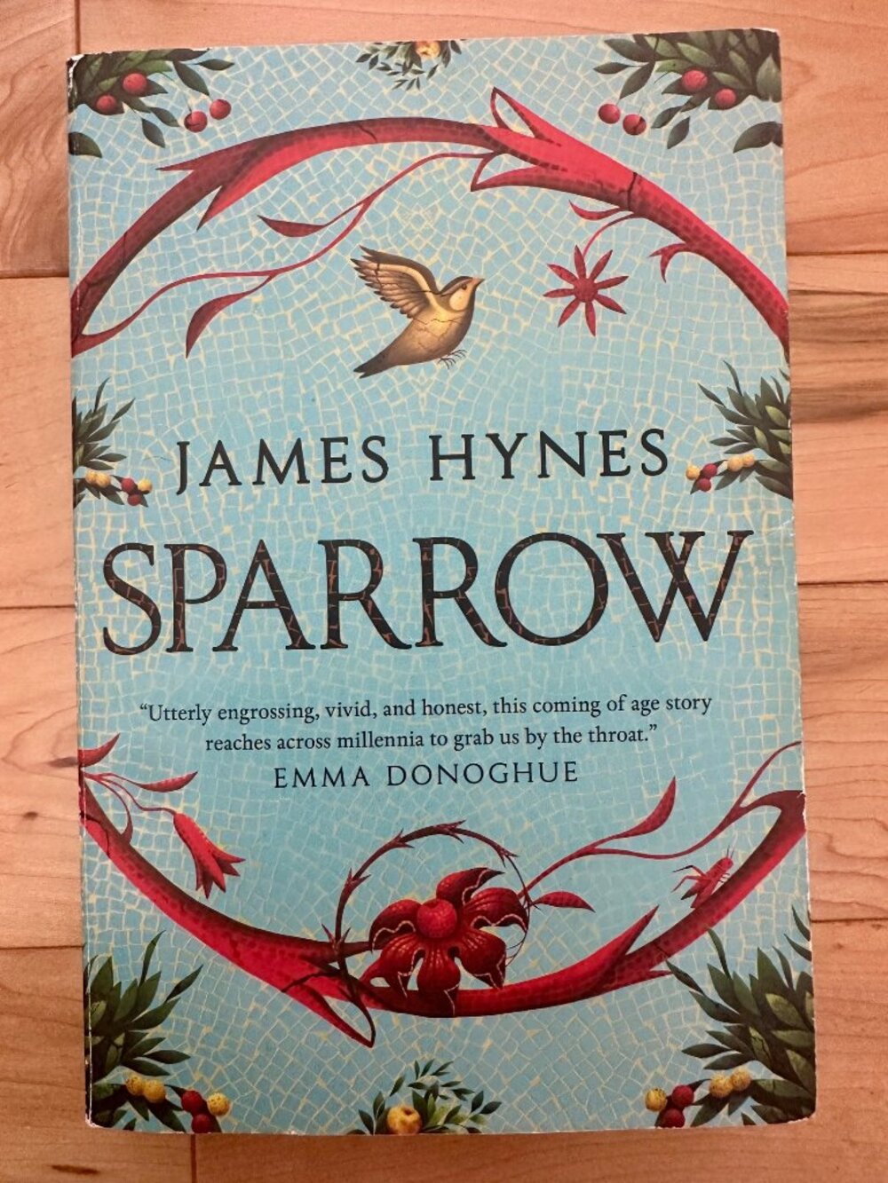 Sparrow - James Hynes